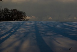 The shadows on the snow