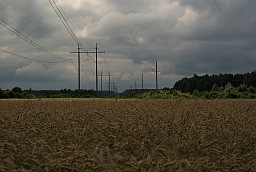 Field and power line